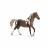 Semental Trakehner.