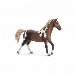 Semental Trakehner.