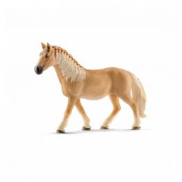 Yegua Haflinger.