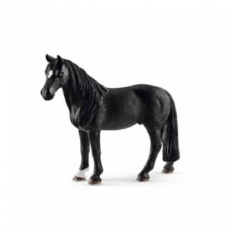 Caballo Capón Tennessee Walker.