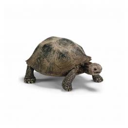 Tortuga Gigante.