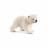 Cría De Oso Polar Corriendo.