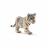 Cachorro De Tigre Blanco.