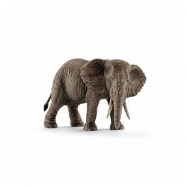 Elefante Áfricano Hembra.