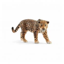 Jaguar.
