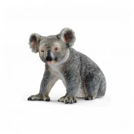 Koala Macho.