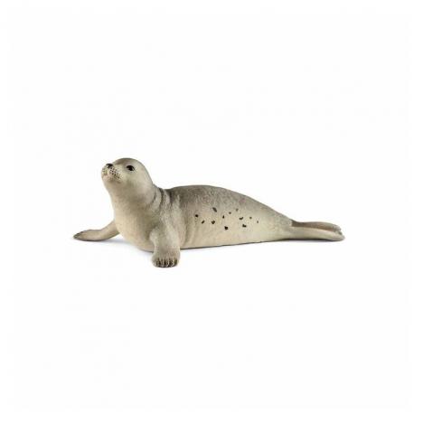 Foca.