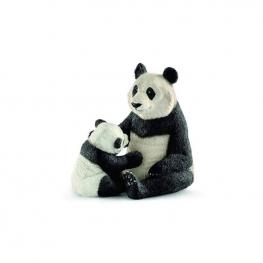 Oso Panda Gigante Hembra.