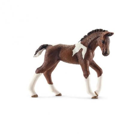 Potro Trakehner.