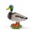 Pato.