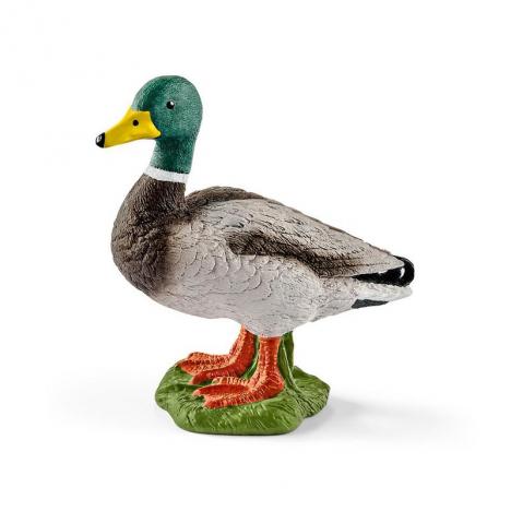 Pato.