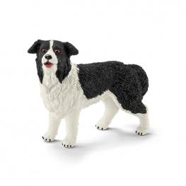 Perro Border Collie.