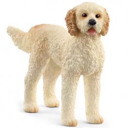 Perro Goldendoodle