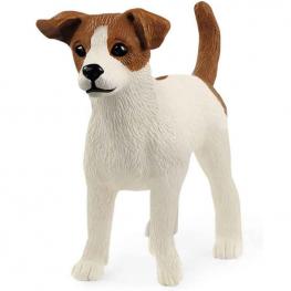 Jack Russell Terrier