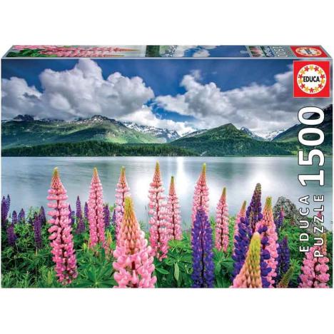 Puzzle Altramuces a Orillas del Lago Sils, Suiza 1500 piezas.-