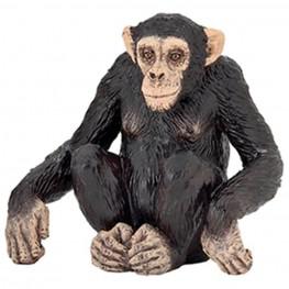 CHIMPANCE