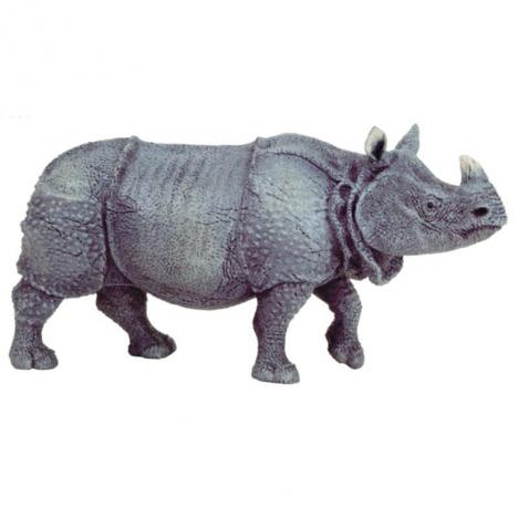 RINOCERONTE INDIO