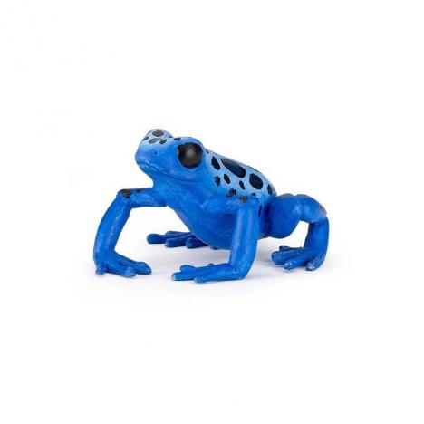 RANA ECUATORIAL AZUL