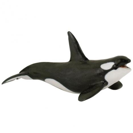 ORCA