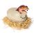 Primal Hatch Dino Rising T-Rex Interactivo (Spin Master 6072462)