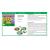 Juego Cool School Little Market (DJECO 38533)