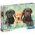 Puzzle Trío De Labradores 1000 piezas (Clementoni 39946)