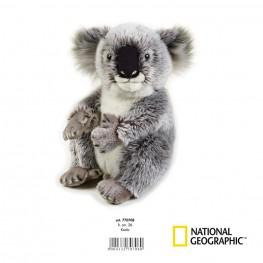 National Geographic - Koala Mediano.