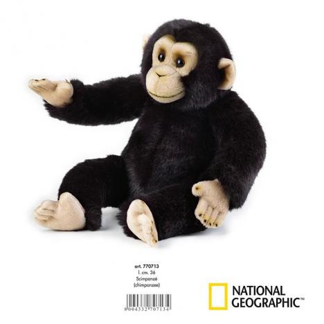 National Geographic - Chimpancé Mediano.
