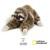 National Geographic - Perezoso Mediano.