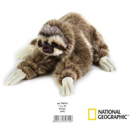 National Geographic - Perezoso Mediano.