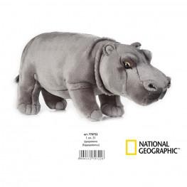 National Geographic - Hipopótamo Mediano.