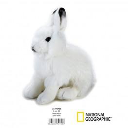 National Geographic - Conejo Ártico Mediano.