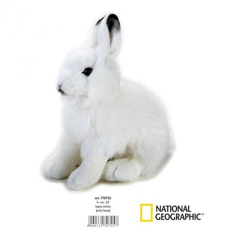 National Geographic - Conejo Ártico Mediano.
