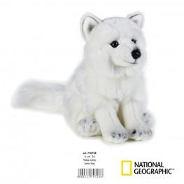National Geographic - Zorro Ártico Mediano.