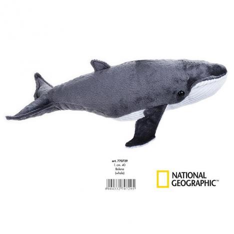 National Geographic - Ballena Mediana.