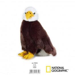 National Geographic - Águila Mediana.