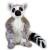 National Geographic - Lemur Mediano.