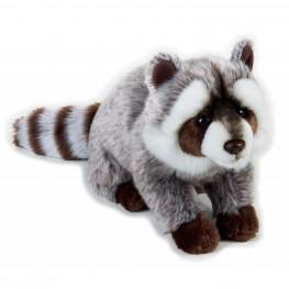 National Geographic - Mapache Mediano.