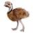 National Geographic - Emu.