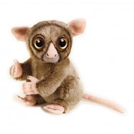 National Geographic - Tarsier.