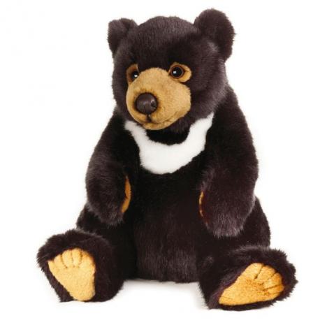 National Geographic - Oso Asiático.
