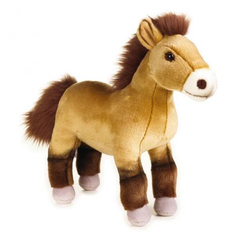 National Geographic - Caballo Przewalski.